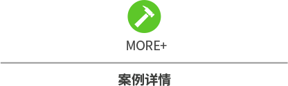 详细说明
