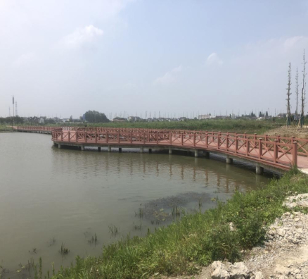 江苏金坛直溪生态湿地公园项目