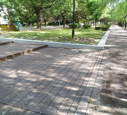 上海交通大学闵行校区校园环境建设项目