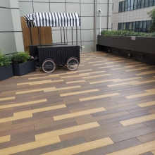 上海扬子江丽笙精选酒店室外露台项目